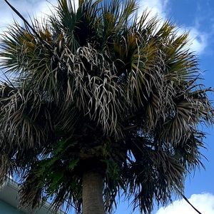 Meet your Posher, Jana